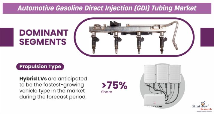 Automotive-Gasoline-Direct-Injection-Tubing-Market-Segment-Analysis-By-Propulsion-Type